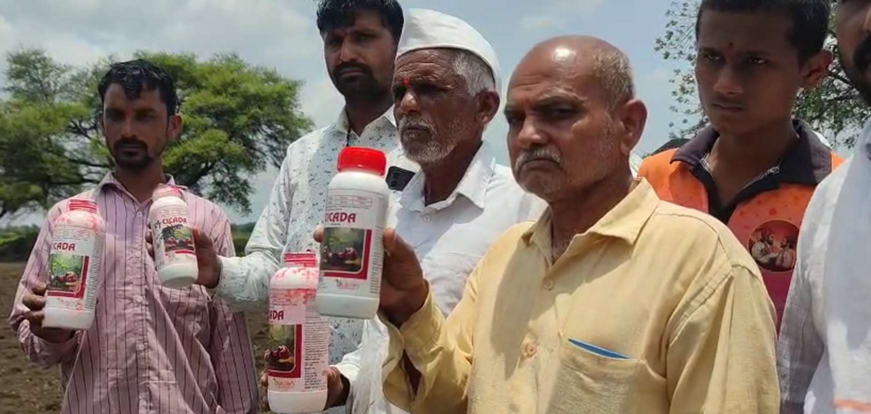 धाराशिवमध्ये सोयाबीन उगवणीला मोठा फटका; बीजप्रक्रियेच्या औषधावर शेतकऱ्यांचे गंभीर आरोप