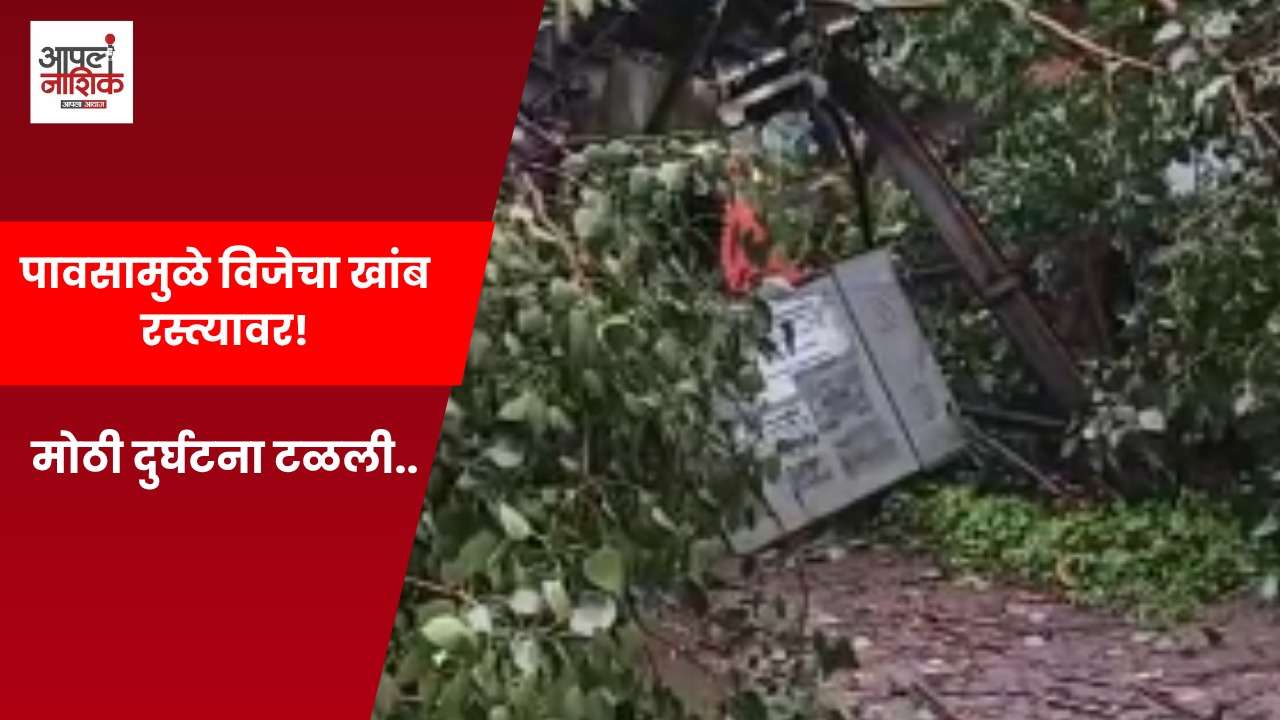 सातपूर एमआयडीसीत पिंपळाचे झाड कोसळले; विजेचा खांब रस्त्यावर
