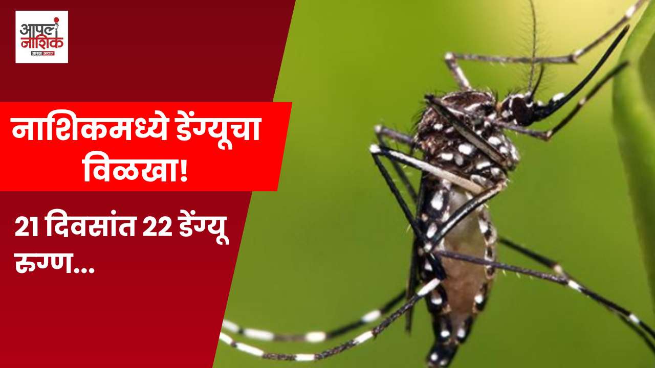 नाशिकमध्ये २१ दिवसांत २२ डेंग्यू रुग्ण; धूरफवारणीवर प्रश्न