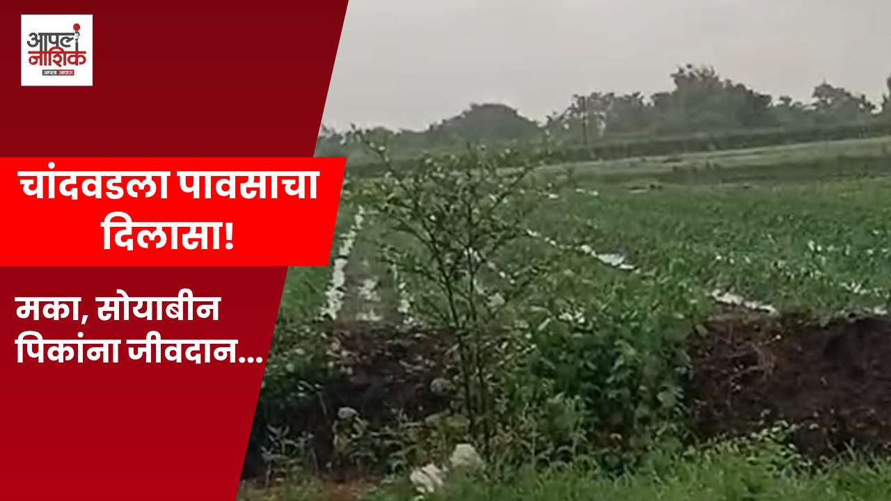चांदवडमध्ये रिमझिम पावसाने पिकांना दिलासा