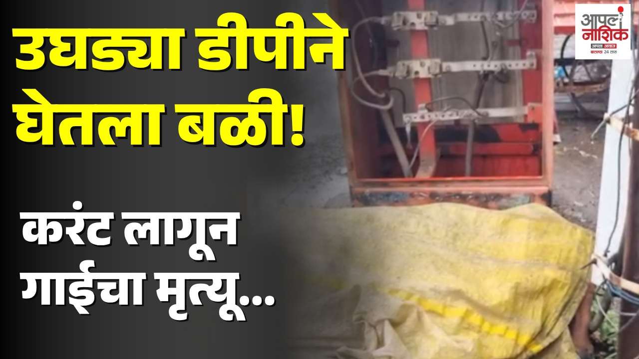नारायण बापूनगरात उघड्या डीपीचा धोका; करंट लागून गाईचा मृत्यू