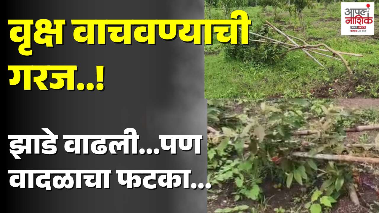 वादळी पावसात काही झाडे उन्मळून पडली