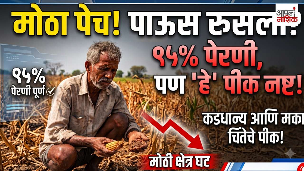 खरीप पेरणी ९५% पूर्ण; तरी शेतकऱ्यांची चिंता का वाढली? मका-कडधान्यांच्या क्षेत्रात मोठी घट | Apla Nashik