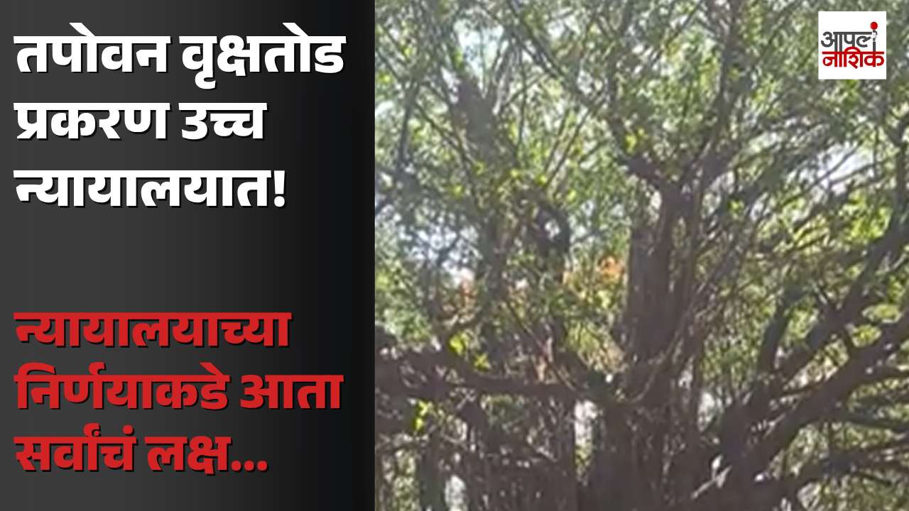 तपोवन वृक्षतोड प्रकरणी उच्च न्यायालयात सुनावणी; कुंभमेळ्याच्या पार्श्वभूमीवर मुद्दा पेटला | Apla Nashik