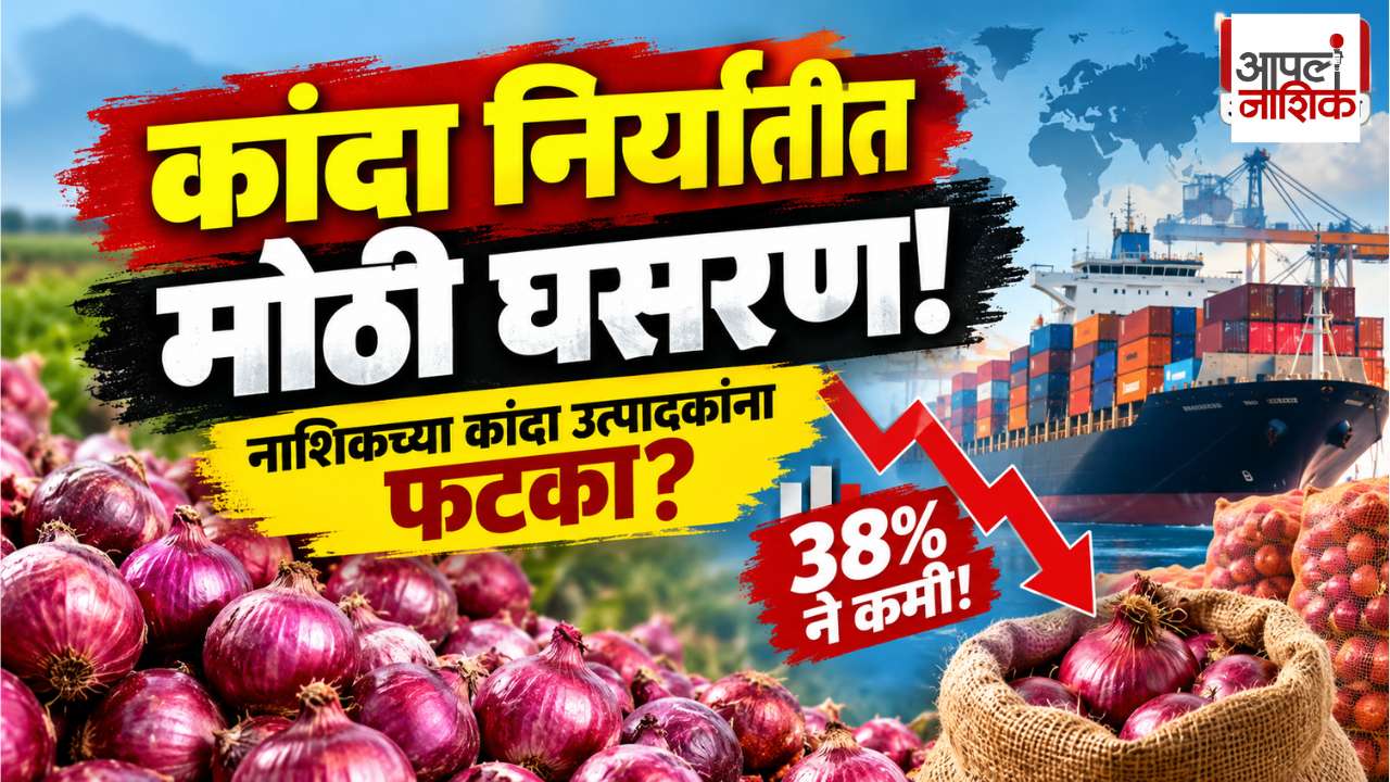 कांदा निर्यातीत मोठी घसरण! 2023-24 च्या तुलनेत निर्यात 38% कमी; शेतकऱ्यांवर काय परिणाम? | Apla Nashik