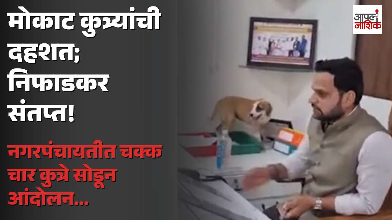 निफाडमध्ये मोकाट कुत्र्यांची दहशत; संतप्त नागरिकांनी नगरपंचायतीत सोडले चार कुत्रे  !