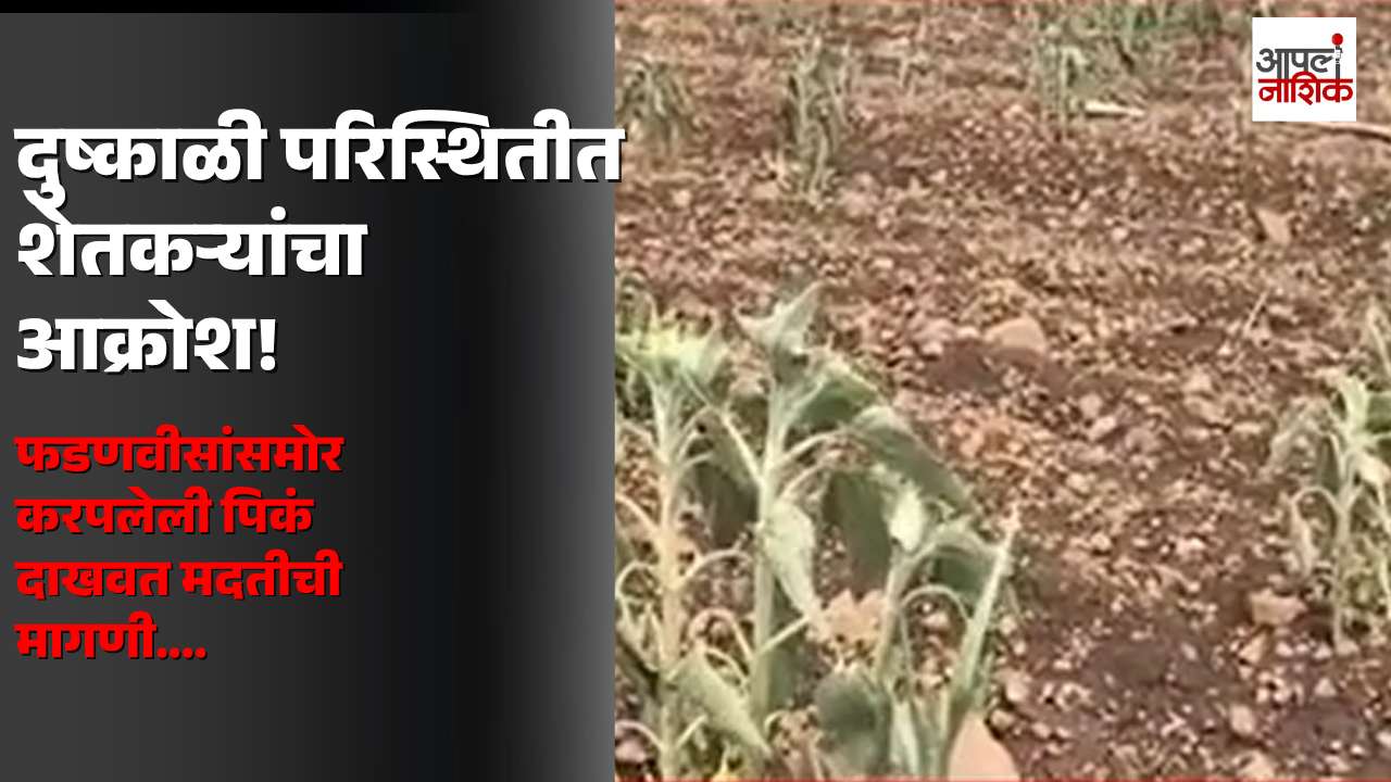 दुष्काळी परिस्थितीत शेतकऱ्यांची व्यथा! फडणवीसांसमोर करपलेली पिकं दाखवत मदतीची मागणी | Apla Nashik