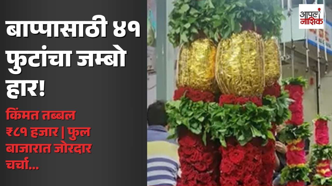 बाप्पासाठी तब्बल ४१ फुटांचा जम्बो हार! किंमत ऐकून व्हाल थक्क; फुल बाजारात मोठी चर्चा | Apla Nashik