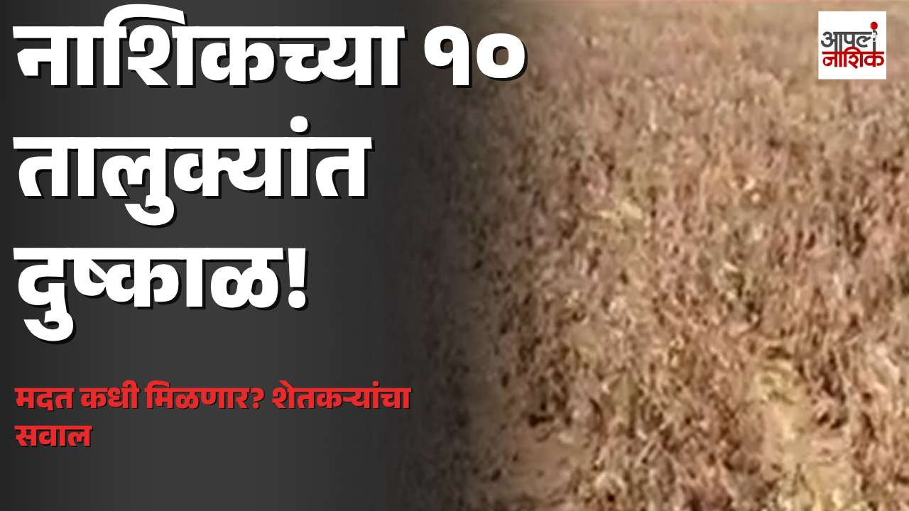 नाशिक जिल्ह्यातील १५ पैकी १० तालुक्यांत दुष्काळ जाहीर; शेतकऱ्यांना प्रत्यक्ष मदतीची प्रतीक्षा