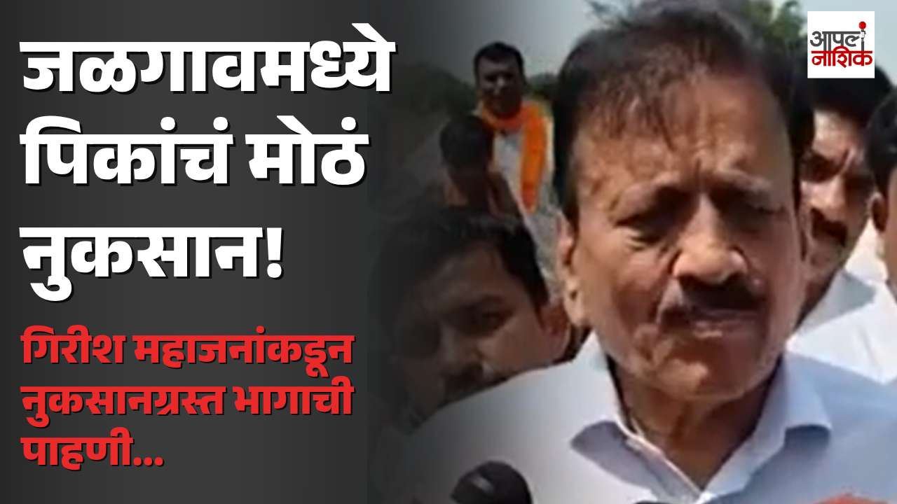 जळगावमध्ये पावसाने दडी मारल्याने खरीप पिकांना मोठा फटका; मंत्री गिरीश महाजनांकडून नुकसानग्रस्त भागाची पाहणी | Apla Nashik