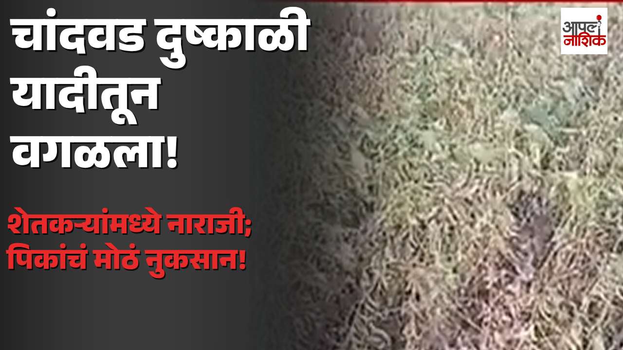 चांदवडचा दुष्काळी तालुक्यांच्या यादीत समावेश नाही; शेतकऱ्यांमध्ये नाराजी