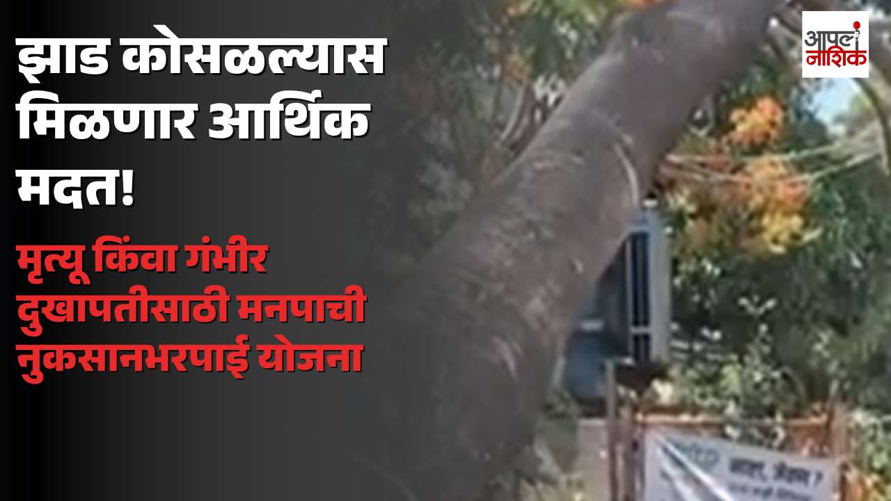 झाड कोसळून मृत्यू किंवा गंभीर दुखापत झाल्यास महापालिकेकडून आर्थिक मदत; ‘वृक्ष दुर्घटना नुकसानभरपाई’ धोरणाला मंजुरी