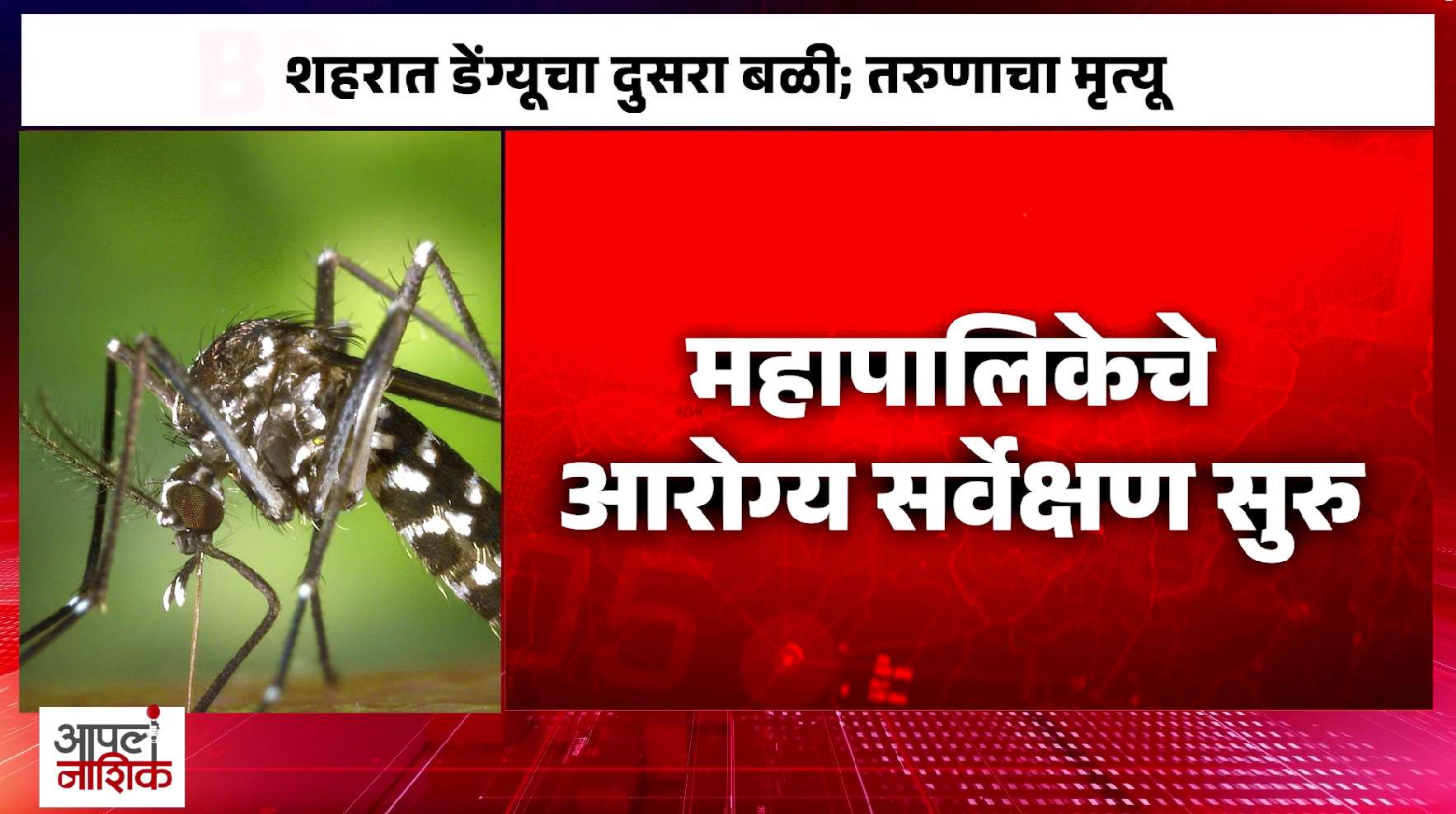 नाशिकमध्ये डेंग्यूचा दुसरा बळी; अंबडमध्ये तरुणाचा मृत्यू