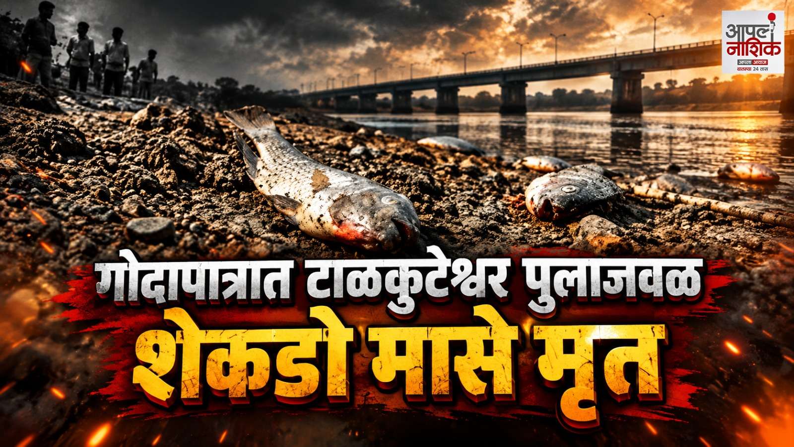सिंहस्थाच्या तयारीदरम्यान गोदापात्रात शेकडो मासे मृत; पर्यावरणप्रेमींकडून चिंता