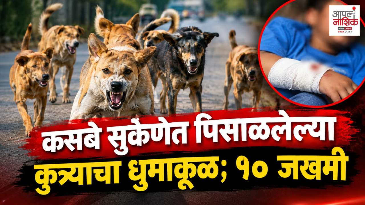 कसबे सुकेणेत कुत्र्याची दहशत; लहान मुलाच्या चेहऱ्याला गंभीर दुखापत