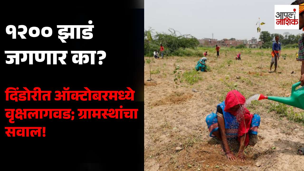 दिंडोरीत ऑक्टोबरमध्ये १२०० झाडांची लागवड! भर उन्हात झाडं जगणार का? ग्रामस्थांचा सवाल | Apla Nashik