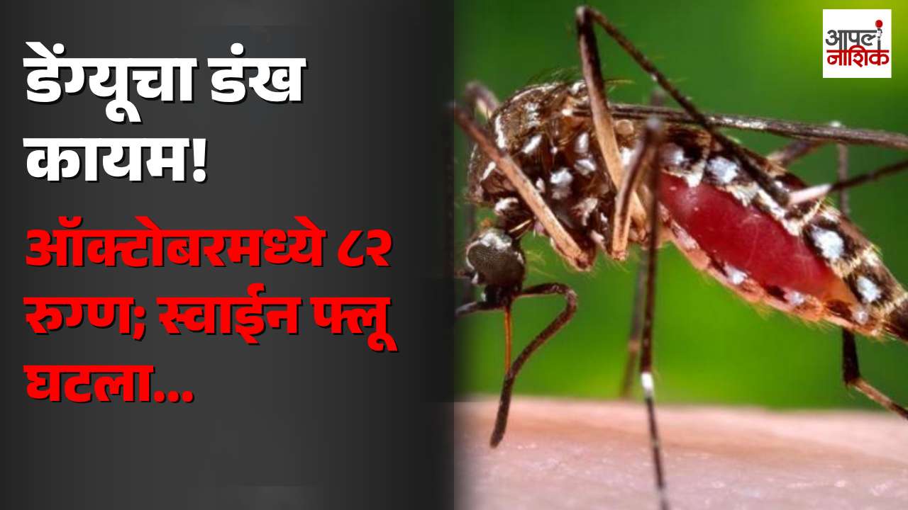 नाशिकमध्ये डेंग्यूचा प्रादुर्भाव कायम; ऑक्टोबरमध्ये ८२ रुग्ण, स्वाईन फ्लूच्या रुग्णसंख्येत घट