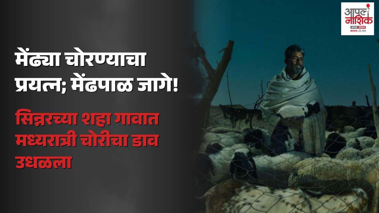 सिन्नरमध्ये मध्यरात्री मेंढ्या चोरण्याचा प्रयत्न! मेंढपाळ जागे होताच चोरट्यांचा डाव फसला